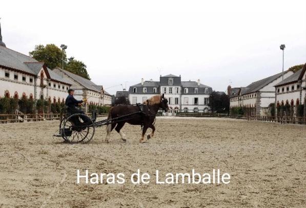 Perle Rare, Appartement Paisible Et Cosy Lamballe Bagian luar foto